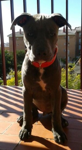 3 meses 3 meses